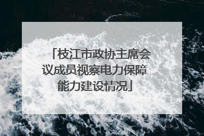 枝江市政协主席会议成员视察电力保障能力建设情况