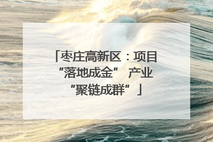 枣庄高新区：项目“落地成金” 产业“聚链成群”