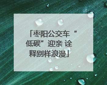 枣阳公交车“低碳”迎亲 诠释别样浪漫