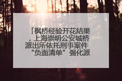 枫桥经验开花结果，上海崇明公安城桥派出所依托刑事案件“负面清单”强化派出所“主防”