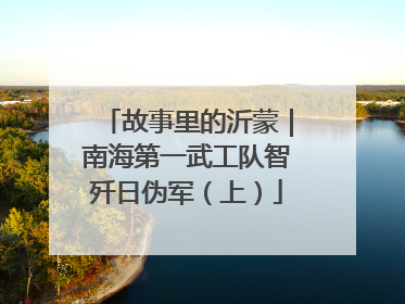 故事里的沂蒙｜南海第一武工队智歼日伪军（上）