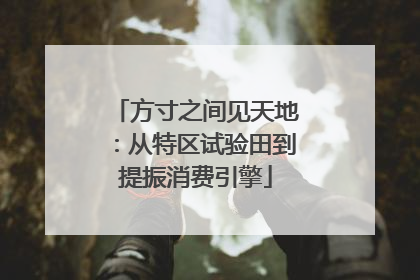 方寸之间见天地：从特区试验田到提振消费引擎