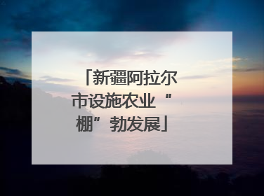 新疆阿拉尔市设施农业“棚”勃发展