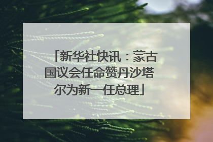 新华社快讯：蒙古国议会任命赞丹沙塔尔为新一任总理