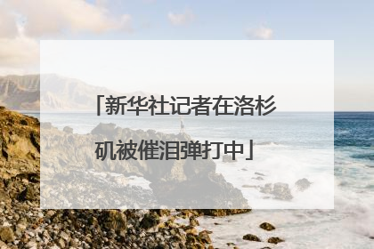 新华社记者在洛杉矶被催泪弹打中