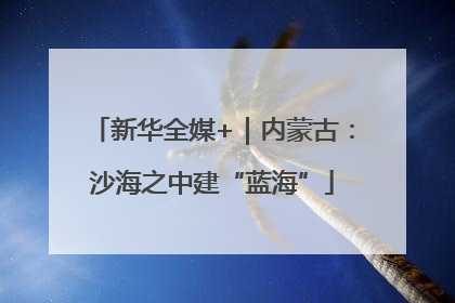 新华全媒+｜内蒙古：沙海之中建“蓝海”