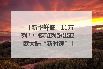 新华鲜报｜11万列！中欧班列跑出亚欧大陆“新时速”