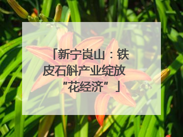 新宁崀山：铁皮石斛产业绽放“花经济”