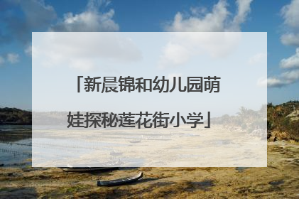 新晨锦和幼儿园萌娃探秘莲花街小学