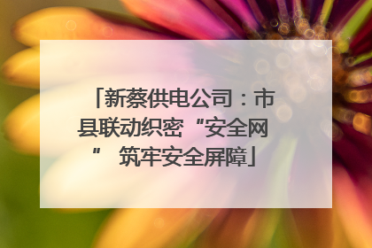 新蔡供电公司：市县联动织密“安全网” 筑牢安全屏障