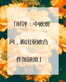 时评：中欧班列，跑出亚欧合作加速度