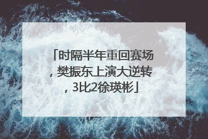 时隔半年重回赛场，樊振东上演大逆转，3比2徐瑛彬