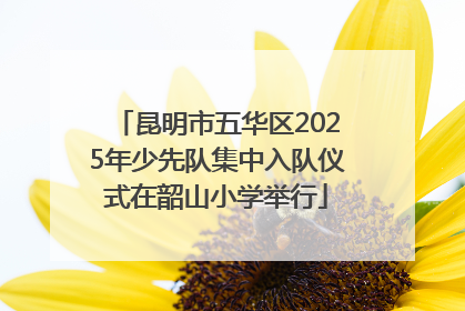 昆明市五华区2025年少先队集中入队仪式在韶山小学举行