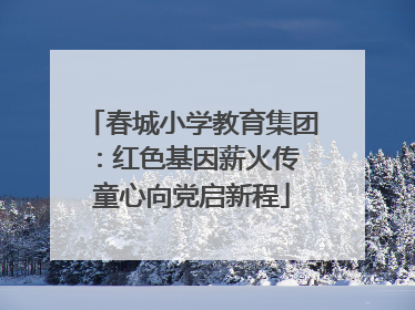 春城小学教育集团：红色基因薪火传 童心向党启新程