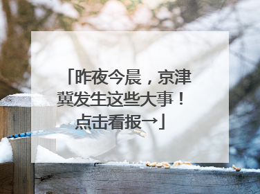 昨夜今晨，京津冀发生这些大事！点击看报→