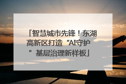 智慧城市先锋！东湖高新区打造“AI守护”基层治理新样板