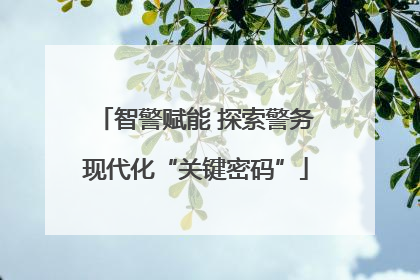 智警赋能 探索警务现代化“关键密码”