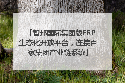 智邦国际集团版ERP生态化开放平台，连接百家集团产业链系统
