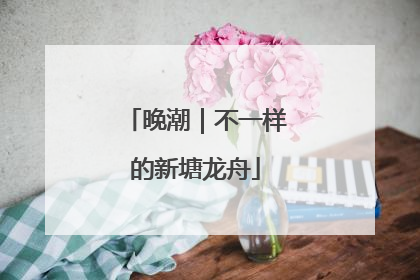 晚潮｜不一样的新塘龙舟
