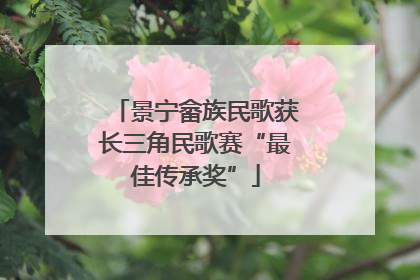 景宁畲族民歌获长三角民歌赛“最佳传承奖”