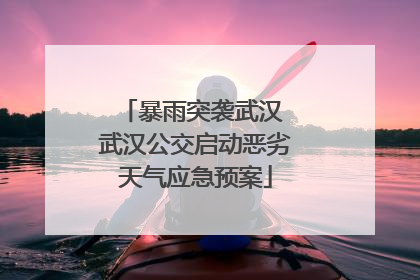 暴雨突袭武汉 武汉公交启动恶劣天气应急预案