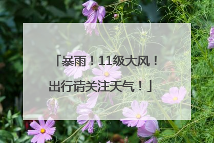 暴雨！11级大风！出行请关注天气！