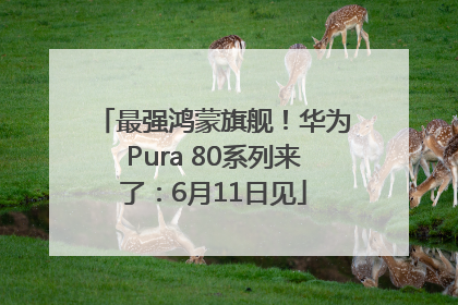 最强鸿蒙旗舰！华为Pura 80系列来了：6月11日见