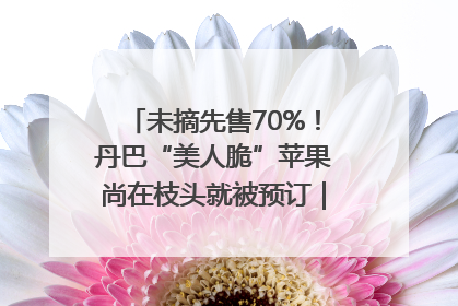 未摘先售70%！丹巴“美人脆”苹果尚在枝头就被预订｜长征路上看四川