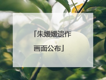 朱媛媛遗作画面公布