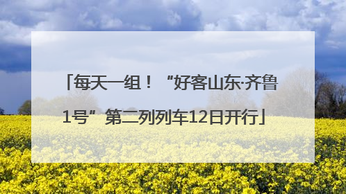 每天一组！“好客山东·齐鲁1号”第二列列车12日开行