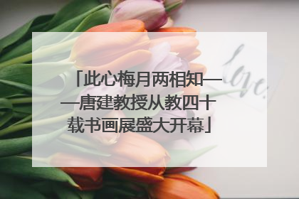 此心梅月两相知——唐建教授从教四十载书画展盛大开幕