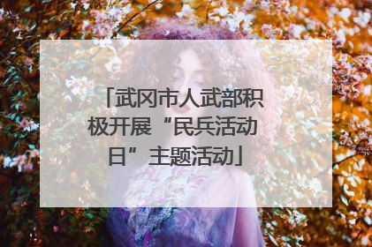 武冈市人武部积极开展“民兵活动日”主题活动