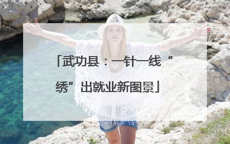 武功县：一针一线“绣”出就业新图景