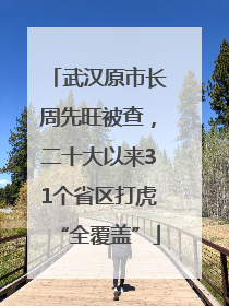 武汉原市长周先旺被查，二十大以来31个省区打虎“全覆盖”