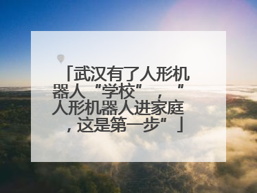 武汉有了人形机器人“学校”，“人形机器人进家庭，这是第一步”