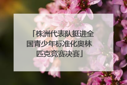 株洲代表队挺进全国青少年标准化奥林匹克竞赛决赛