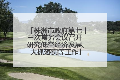 株洲市政府第七十三次常务会议召开 研究低空经济发展、大抓落实等工作