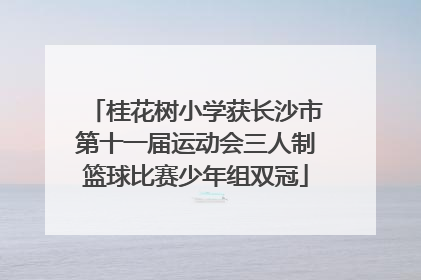 桂花树小学获长沙市第十一届运动会三人制篮球比赛少年组双冠