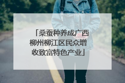 桑蚕种养成广西柳州柳江区民众增收致富特色产业