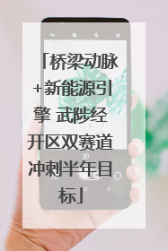桥梁动脉+新能源引擎 武陟经开区双赛道冲刺半年目标