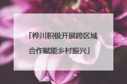 桦川积极开展跨区域合作赋能乡村振兴
