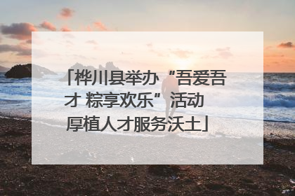 桦川县举办“吾爱吾才 粽享欢乐”活动 厚植人才服务沃土
