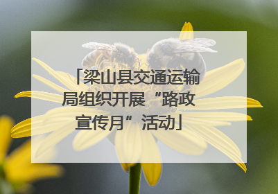 梁山县交通运输局组织开展“路政宣传月”活动