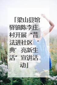 梁山县馆驿镇陈李庄村开展“普法进社区‘典’亮新生活”宣讲活动