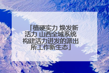 植硬实力 焕发新活力 山西全域系统构建活力迸发的派出所工作新生态