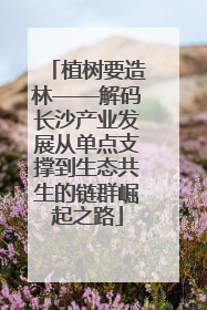 植树要造林——解码长沙产业发展从单点支撑到生态共生的链群崛起之路
