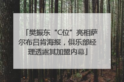 樊振东“C位”亮相萨尔布吕肯海报，俱乐部经理透露其加盟内幕