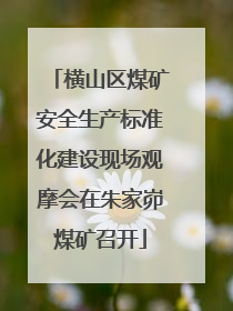 横山区煤矿安全生产标准化建设现场观摩会在朱家峁煤矿召开