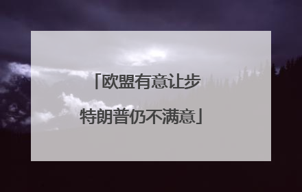 欧盟有意让步 特朗普仍不满意