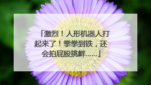 激烈！人形机器人打起来了！拳拳到铁，还会拍屁股挑衅……